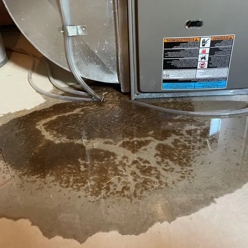 Pipe Burst and Leak Restoration in Crystal Lake, CT